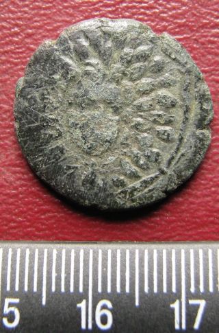 Authentic Ancient Greek Coin Amisos,  Pontos Nike / Aegis 85 - 65 B.  C.  12198 photo