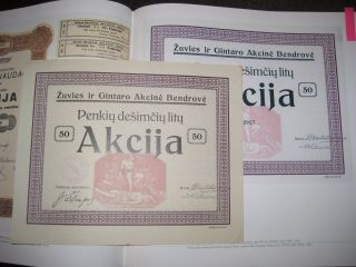 Lithuanian 50 Litu Joint Stock Company Zuvies & Gintaro Certificate 1922 903 photo