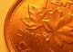 Error Coin 2010 Dots All Over Both Sides Queen Elizabeth Ii Penny D146 Coins: Canada photo 4
