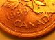 Error Coin 1999 Die Damage Dot Under 9 Queen Elizabeth Ii Penny D144 Coins: Canada photo 3