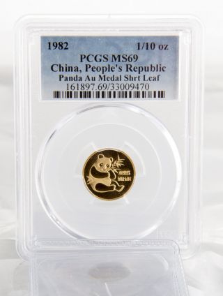 1982 1/10 Oz.  First Year Of Issue Gold Panda Medal Shrt Leaf Pcgs Ms 69 photo