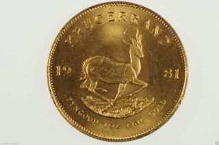 South Africa 1981 1oz Fine Gold Krugerrand In Extremely Fine photo