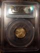 2015 American Gold Eagle - Wide Reeds (1/10 Oz) $5 - Pcgs Ms70 - First Strike Gold photo 1