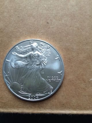 United States Silver Dollar,  2004 Bullion photo