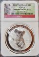 2015 - P Australian Koala 1 Oz.  Silver Coin,  Ngc Gem Uncirculated,  Koala Label Australia photo 4