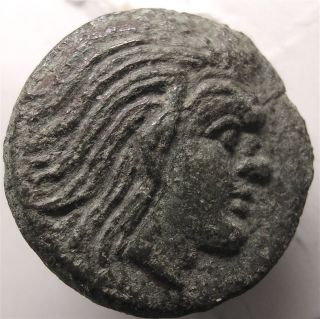 Ancient Greek Coin/tauric Chersonese/panticapaeum/satyr/pan/pegasus photo
