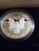 2010 1 Oz Silver American Eagle (brilliant Uncirculated) Coins photo 1