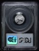 2003 $10 American Platinum Eagle (1/10 Oz) Pcgs Ms69 Platinum photo 1
