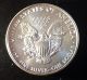 2010 1 Oz Silver American Eagle (brilliant Uncirculated) Coins photo 2