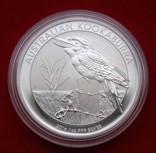 2016 Silver Coin 1 Troy Oz Australia Kookaburra Bird On Fence.  999 Fine Bu photo