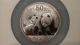 2010 China Silver Panda Coin 5 Oz.  Ngc Pf69 Uc Ncs Conserved W/ Box & China photo 2