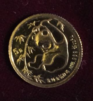 China 1985 - 1/20oz - 5 Yuan Gold Coin This Is photo