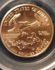 1996 $25 American Eagle 1/2 Ounce Gold Coin Pcgs Ms69 Gold photo 1