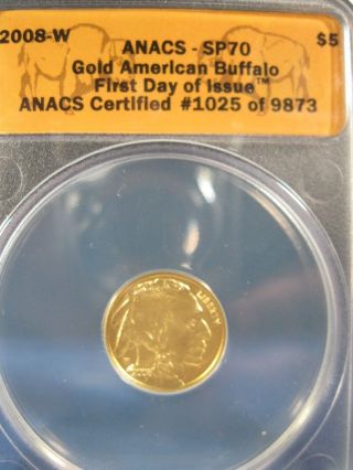 2008 - W $5 Gold Buffalo First Day Of Issue Anacs Sp70 photo