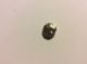 Ionia Electrum Hekte Or Stater Of Dionysos C.  A.  500 B.  C.  Coin Coins: Ancient photo 1