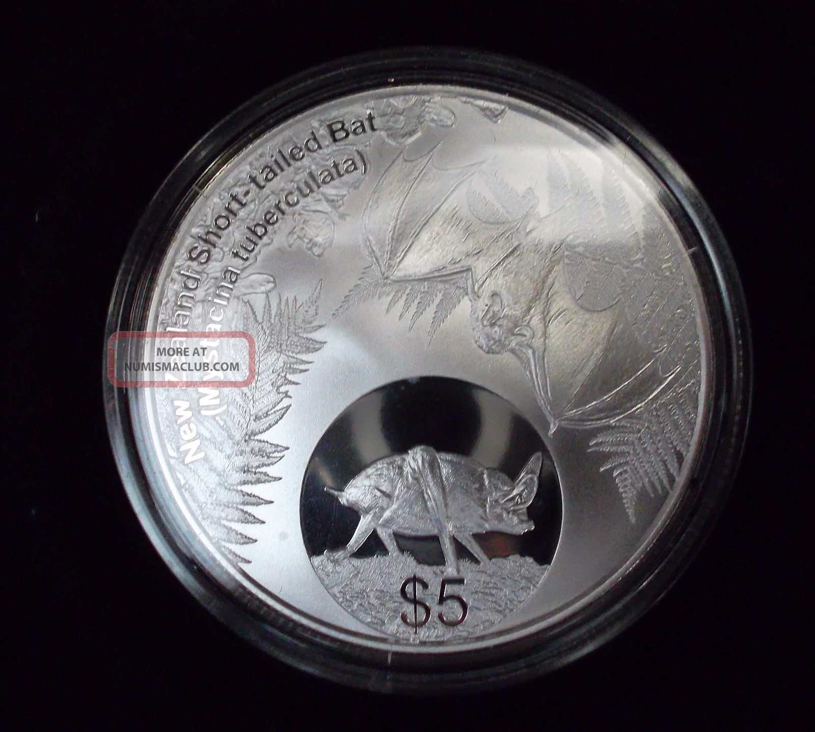 Zealand Proof $5 Coin,  2013 Short - Tailed Bat,  Silver. Australia & Oceania photo