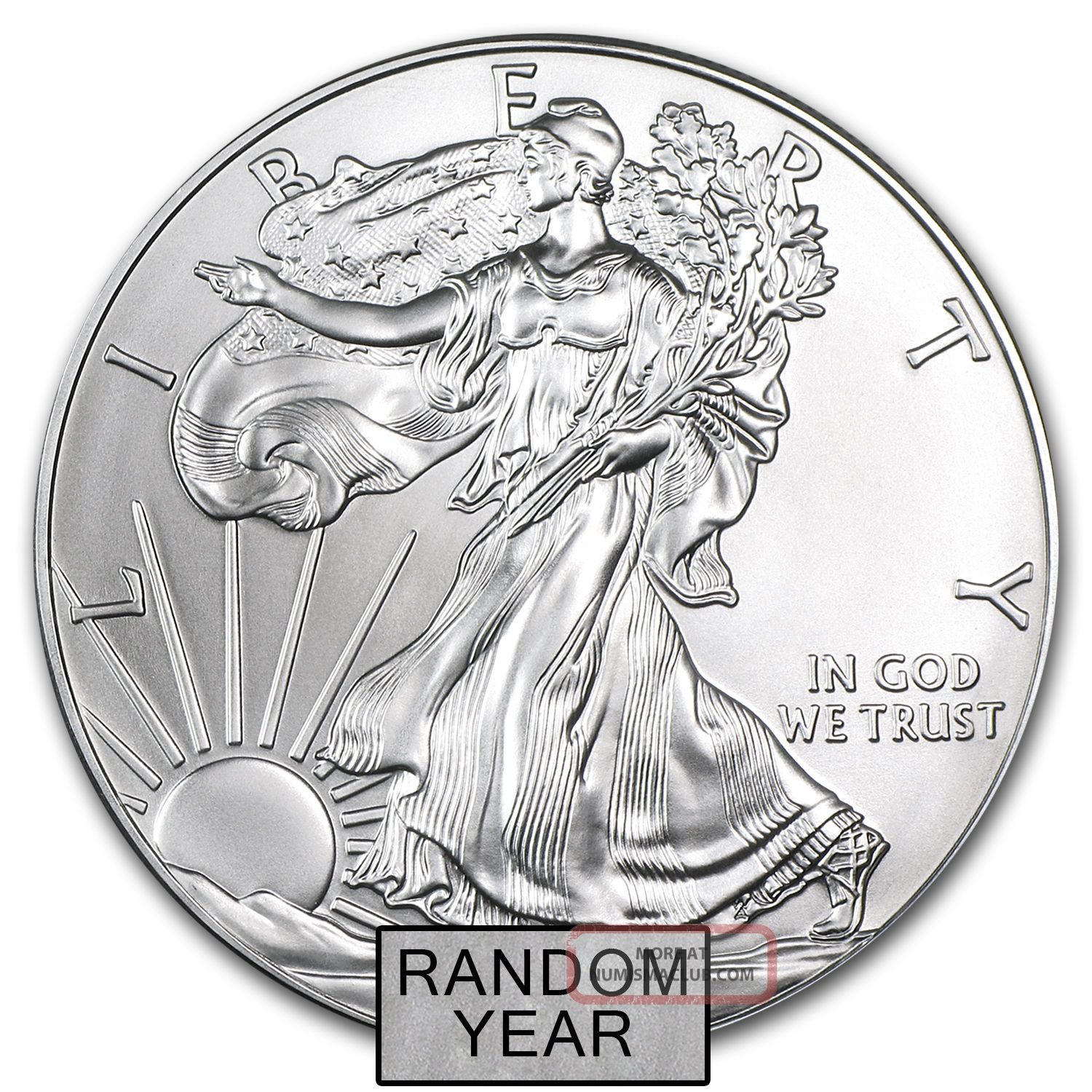 1 Oz Silver American Eagle (random Year) Price Per Coin