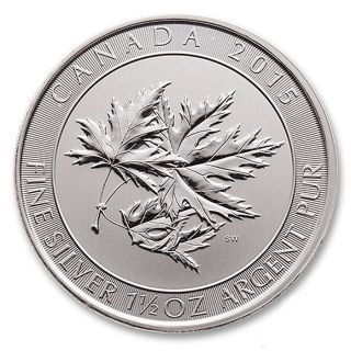 2015 Canada $8 1.  5 Oz Maple Leaf Fine Silver Bullion Coin In Capsule photo