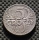 Rare Old Coin Of Poland 5 Groszy 1923 Second Republic Europe photo 1