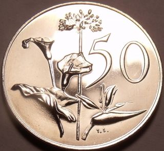 Large Rare South Africa 1967 Proof 50 Cents 25,  000 Minted Flowers photo
