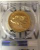 2015 - W Pcgs Ms70 $100 Gold American Liberty High Relief Coin Blue Insert Gold photo 1