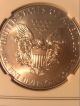 2012 Silver Eagle $1 / 1 Oz.  Bullion / Ngc Ms 70 First Release Coin Coins: US photo 5