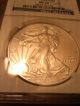 2012 Silver Eagle $1 / 1 Oz.  Bullion / Ngc Ms 70 First Release Coin Coins: US photo 6
