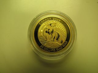 2014 Proof $25 Untamed Canada 3 - Wolverine 1/4oz.  9999 Gold Mintage Just 356 photo