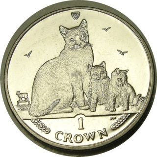 Elf Iom Isle Of Man 1 Crown 2014 Snowshoe Cat Kittens photo
