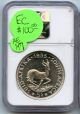 South Africa 1955 Coin 5 Shillings - Ngc Pl 65 - Queen Elizabeth Ii - Wfc Ae147 Africa photo 1