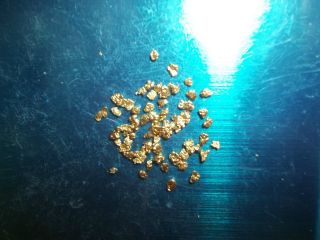 1.  5 Grams Alaska Natural Gold Nuggets,  Flakes.  Capsule photo
