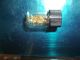 1.  3 Grams Alaska Natural Gold Nuggets,  Flakes.  Capsule Gold photo 4