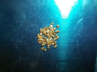 1.  9 Grams Alaska Natural Gold Nuggets,  Flakes.  Capsule photo