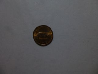 Tonga Coin - 1975 1 Seniti - Pig - Circulated photo