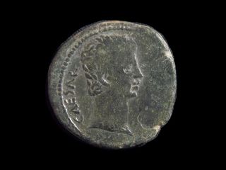 Roman Provincial Ae25 Of Emperor Augustus,  Ephesus Ionia,  Cc6079 photo
