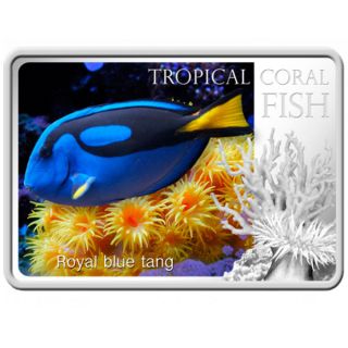 Niue 2013 1$ Royal Blue Tang Tropical Fish Proof Silver Coin photo