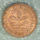 1 Pfennig 1981 Mintmark F Coin German Bundesrepublik Deutschland Copper Germany photo 2