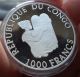 2004 Congo,  1000 Francs,  Lion,  Panthera Leo,  Silver,  Fauna Africa photo 3