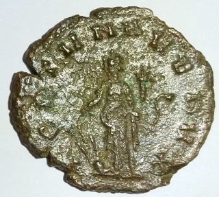Ancient Roman Empire Bronze Coin Gallienus 253 - 268 Ad Fortvna photo