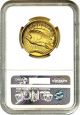 2009 Ultra High Relief $20 Ngc Ms69 Pl - Very Popular Issue - Very Popular Issue Gold photo 1