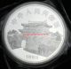 99.  99 Chinese Zodiac 5 Oz Baiyin 1989year Of The Snake Medal Medal Ly China photo 1