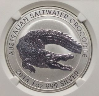 2014 - P Australian Saltwater Crocodile - Ngc Ms69 - photo