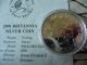 2001 1oz Silver Britannia Coin Uncirculated UK (Great Britain) photo 8