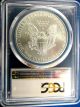 A Perfect 2008 Ms 70 Pcgs Certified American Silver Eagle - Top Grade Silver photo 1