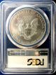 A Perfect 2008 Ms 70 Pcgs Certified American Silver Eagle - Top Grade Silver photo 3