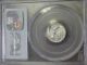 2002 Statue Of Liberty Eagle P$10 Graded Pcgs Ms 69 Platinum 1/10 Oz Coin Platinum photo 1