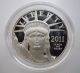 2010 Platinum $100 Proof American Eagle W/ U.  S.  Packaging Bullion Coin Platinum photo 1