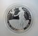 2010 Platinum $100 Proof American Eagle W/ U.  S.  Packaging Bullion Coin Platinum photo 2