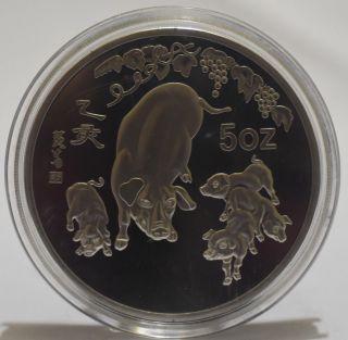 99.  99 Chinese 1995 Year Zodiac 5oz Silver Coin - Year Of The Pig/ 02 photo