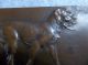 V.  Peter: Dog Setter Game Bronze Art Plaque Exonumia photo 1
